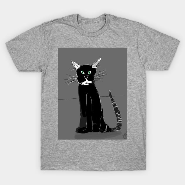 The grumpy old cat T-Shirt by Dabse